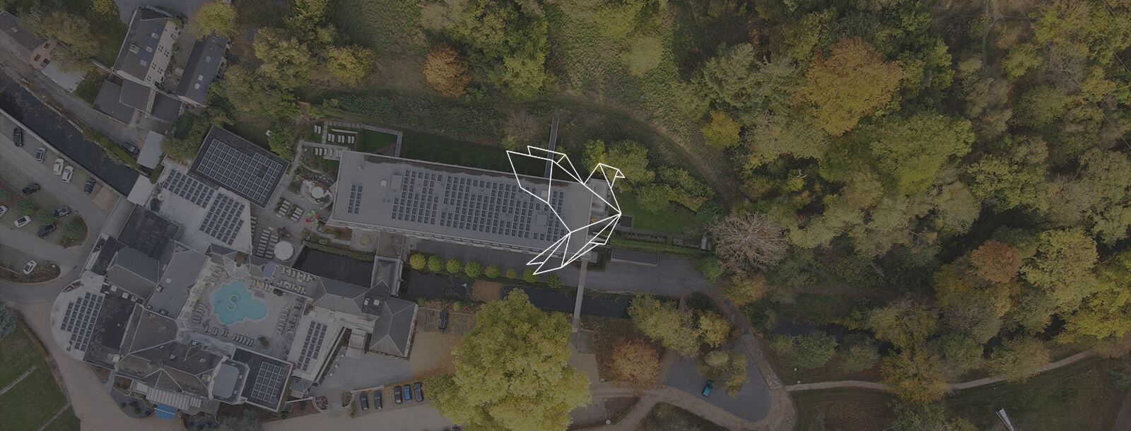 dji